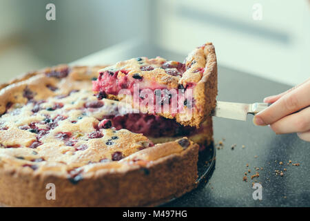 Wild berry homemade pie slice Stock Photo