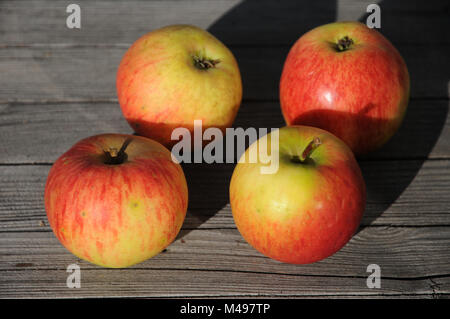 Malus domestica Elstar, Malus domestica Gerlinde, Apple Stock Photo