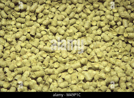 Malt background. Ingredient for beer. Stock Photo