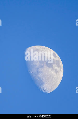 Moon in the day at Waxing Gibbous phase against blue sky in Winter, from the UK. Portrait with copy space. Stock Photo