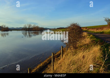 River Till in flood, Northumberland Stock Photo