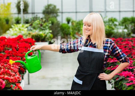 gardener watering flower plantation Stock Photo