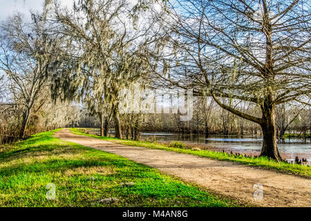 After a winter rain in a TX state park. Stock Photo