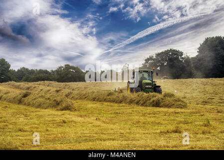 Tractor cutting hay in summer time against blue cloudy sky,  haystacks on the field Stock Photo