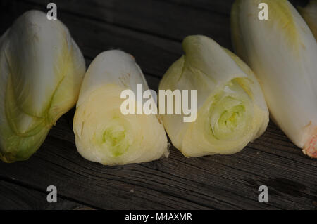 Chicoree, Cichorium intybus var. foliosum, Chicory Stock Photo