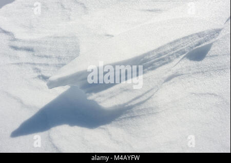 Texture of the snow Stock Photo
