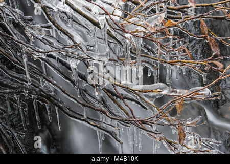 Icicles in a creek, Lapland, Sweden Stock Photo