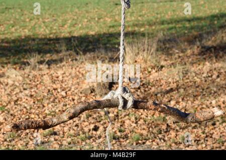 Swing constructed from rope and branch Stock Photo