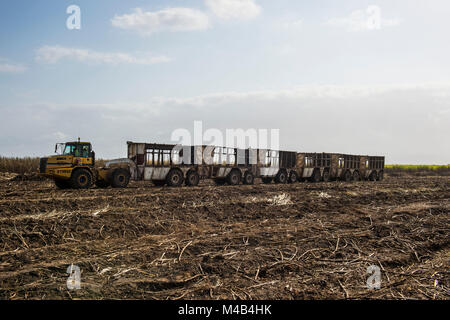 Huge sugarcane truck in the sugar fields,Malawi,Africa Stock Photo