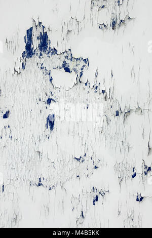 Old withered white fence texture Stock Photo