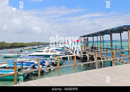 landing stage on Isabela Island Galapagos Islands Ecuador Stock Photo