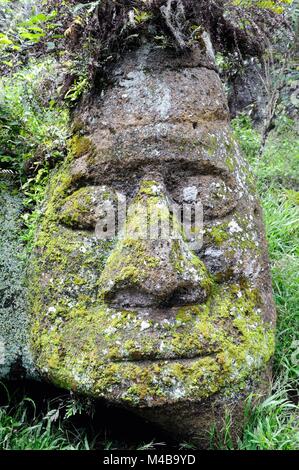 Stone face on Floreana Island Galapagos Islands Ecuador Stock Photo
