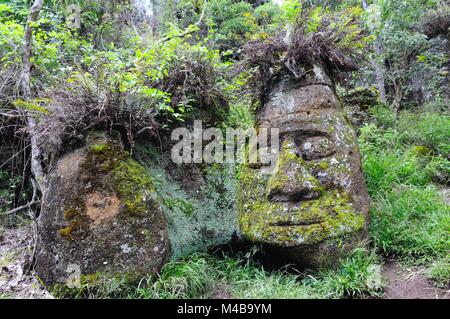 the stone face on Floreana Island Galapagos Islands Ecuador Stock Photo