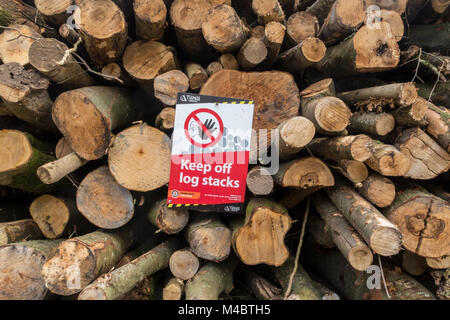 Warning sign "Keep Off Log Stacks" on a log pile in woodland where trees are being cleared Stock Photo