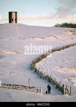 freezing icy dog in snow Stock Photo - Alamy