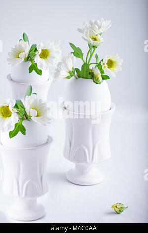 Bunch of white chrysanthemum flowers growing from egg shell Stock Photo
