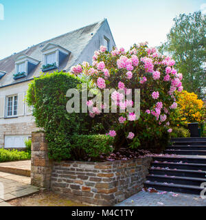 Natural stone landscaping in home garden with steps Stock Photo