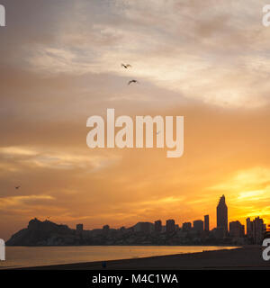 Golden sunset on the Poniente beach in Benidorm Stock Photo