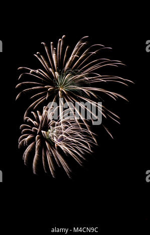 multiple fireworks explode with black background Stock Photo