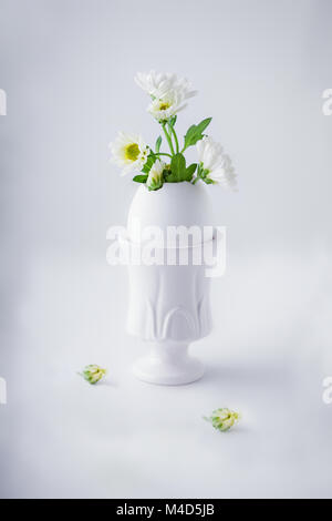 Bunch of white chrysanthemum flowers growing from egg shell Stock Photo