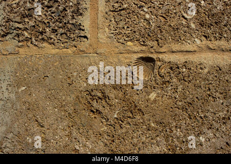 Wall. Traditional wall of Cádiz from seashells and sand. Stock Photo