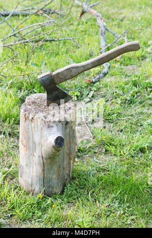 ax and branches of old trees on the grass Stock Photo