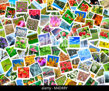 A lot of different beautiful nature photos Stock Photo