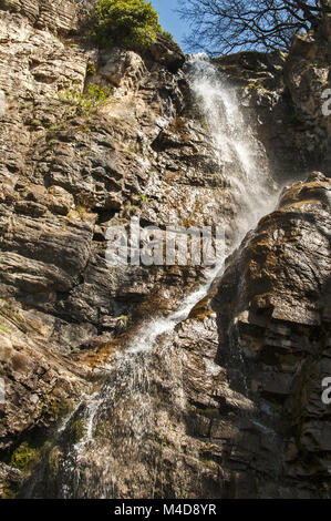rocky Waterfall in spring forest Stock Photo - Alamy