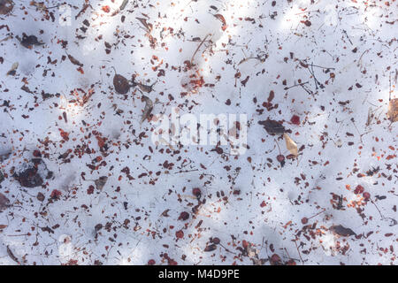 dirty snow Stock Photo