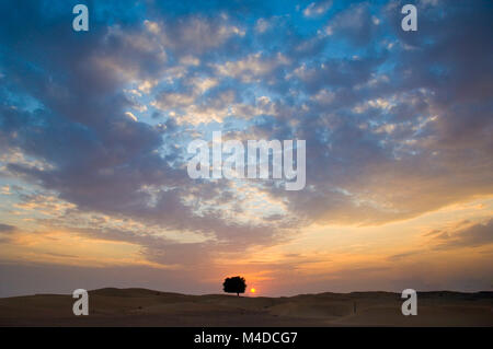 A lonely desert tree in a calm and spectacular desert landscape at sunset with beautifully lit clouds Stock Photo