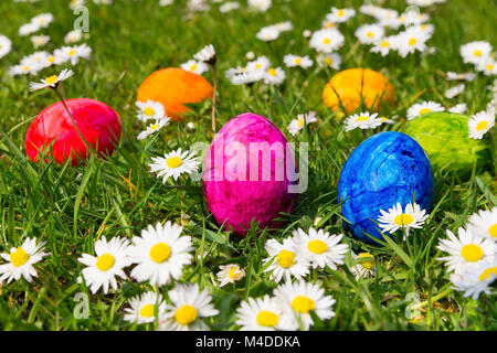 Painted easter eggs in grass with daisies Stock Photo