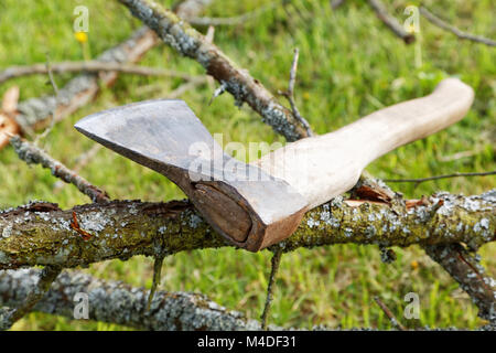 ax and branches of old trees on the grass Stock Photo