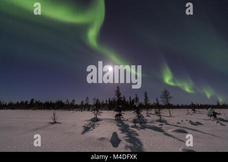 Northern lights above moonlit landscape, Lapland, Sweden Stock Photo