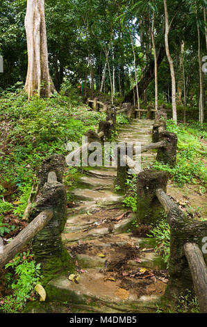 Natural man made wood and soil steps in jungle - old steps walkway at peaceful backyard Stock Photo