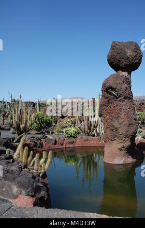 Cactus garden on lanzarote Stock Photo