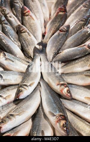 Close up of fish on display in a fish market Stock Photo