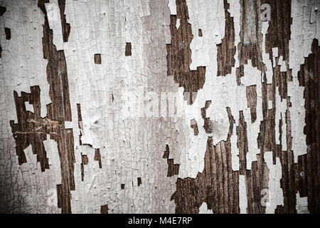 Old abstract background from the cracked paint Stock Photo