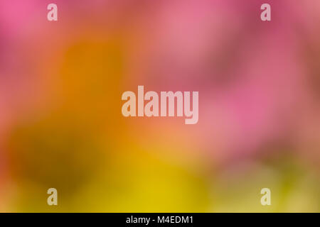 Defocused abstract colorful background Stock Photo