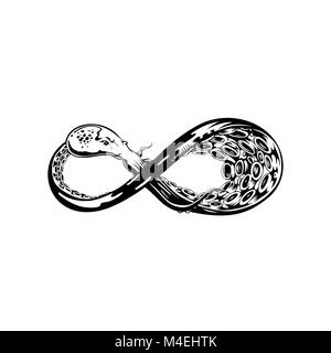 Infinity symbol vector illustration Stock Vector