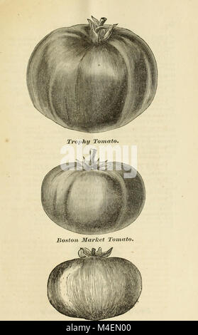 Annual catalogue of choice and select flower and vegetable seeds embracing the most esteemed varieties in cultivation, importend and grown expressly for us (1876) (18237544249) Stock Photo