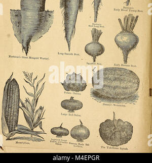 Annual circular and retail catalogue of warranted vegetable and flower seeds (1879) (18424561485) Stock Photo