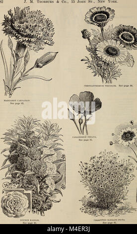Annual descriptive catalogue of seeds - the largest collection in the world (1898) (20563369732) Stock Photo