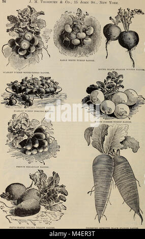 Annual descriptive catalogue of seeds - the largest collection in the world (1898) (20572170455) Stock Photo