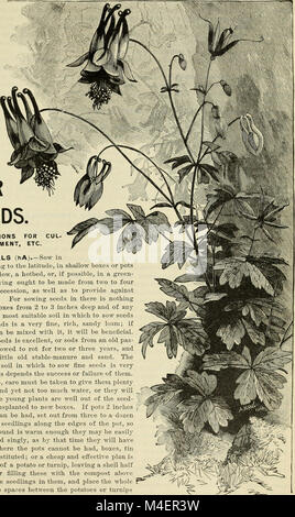 Annual descriptive catalogue of seeds - the largest collection in the world (1898) (20572286945) Stock Photo