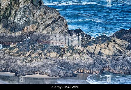 soberanes and cliffs on pacific ocean coast california Stock Photo