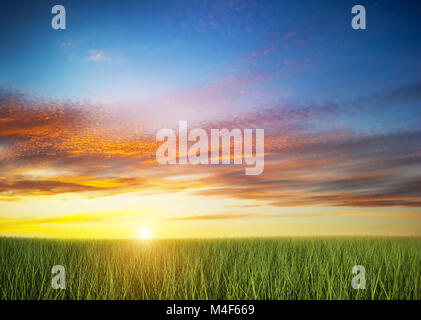 Green grass field under colorful sunset sky. Stock Photo