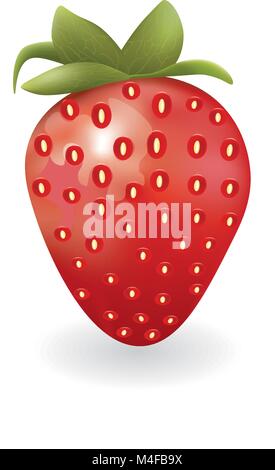 Strawberry on white background Stock Vector