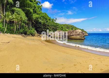 Deserted and unspoilt beach with forest Stock Photo