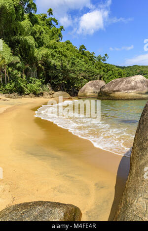 Deserted and unspoilt beach with forest Stock Photo