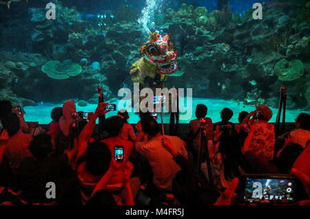 KUALA LUMPUR, MALAYSIA - FEBRUARY 16: A  professional diver show a chinese Lion dance performances inside the Aquaria KLCC during Chinese New Year celebration in Kuala Lumpur on February 16, 2018. The Chinese Lunar New Year on February 16 will welcome the Year of the dog (also known as the Year of the Earth Dog). (Photo by Samsul Said/AFLO) (MALAYSIA) Stock Photo